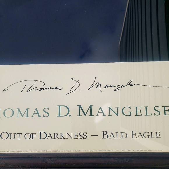 Thomas D. Mangelsen Out Of Darkness Bald Eagle Signed Framed Print Art 34"x28" - Picture 6 of 16